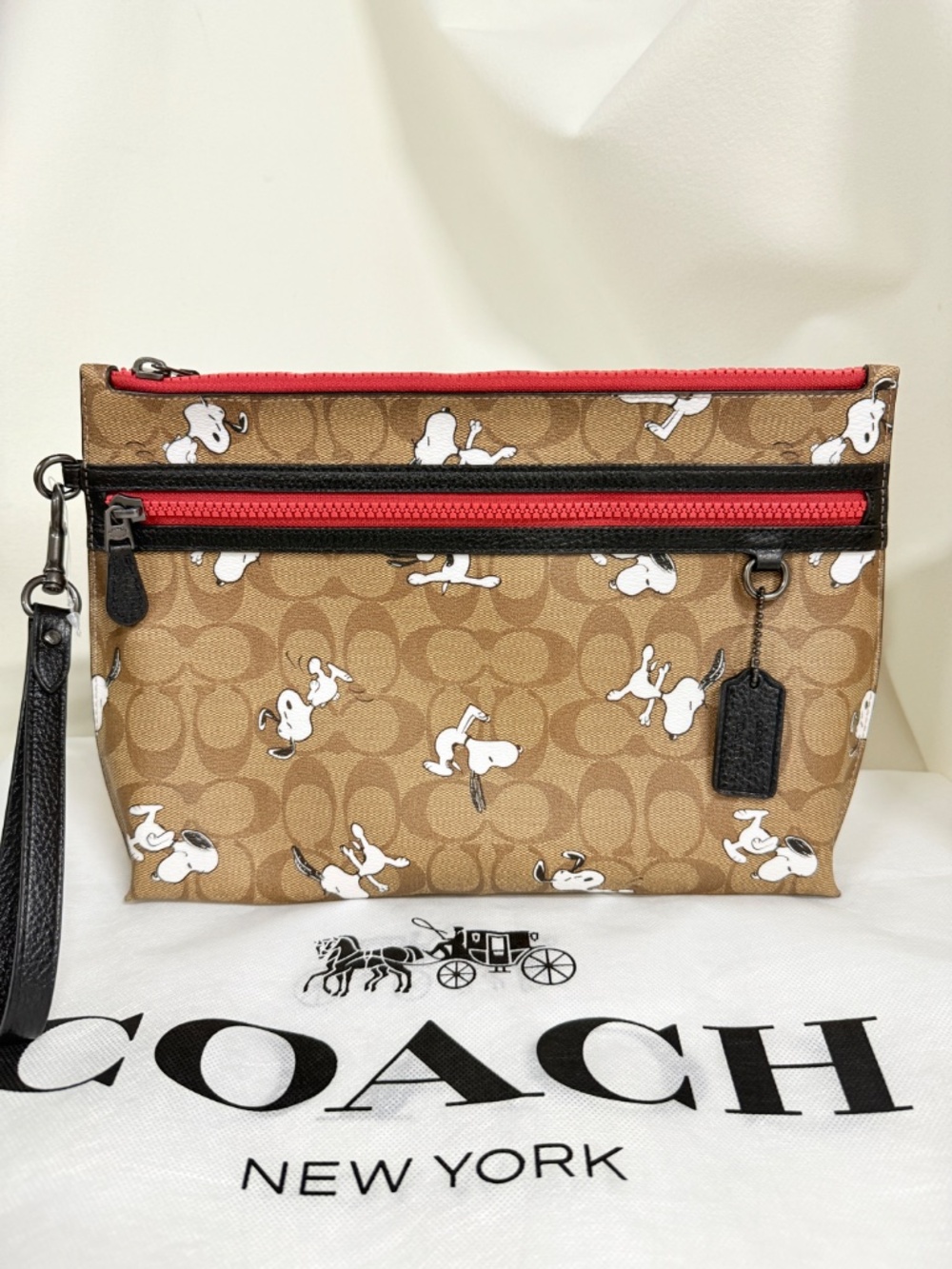 Coach X Peanuts Carryall Pouch In Signature Canvas With Snoopy Print  5734